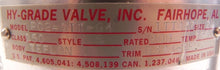 Load image into Gallery viewer, Hy-Grade PTFE Teflon Check Valve P02-GTT-G4 2" For Corrosive Application - Advance Operations