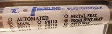 Load image into Gallery viewer, Trueline Gate Valve 6" F8112-RS-304H - Advance Operations