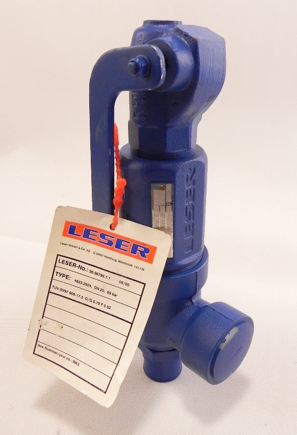 Leser Safety Valve 1" X 1-1/2" DN 20 96.96796.1.1 - Advance Operations