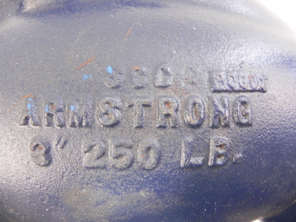 Armstrong Y-Type Cast Iron Strainer 3" dia CA1SC - Advance Operations