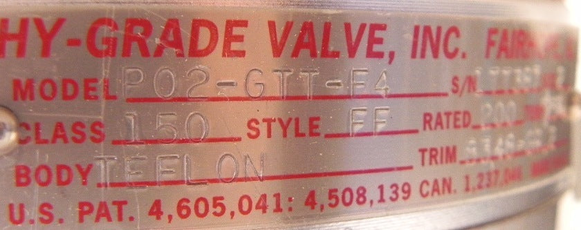 Hy-Grade PTFE Teflon Check Valve P02-GTT-F4 2" For Corrosive Application - Advance Operations