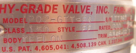 Hy-Grade PTFE Teflon Check Valve P02-GTT-F4 2" For Corrosive Application - Advance Operations