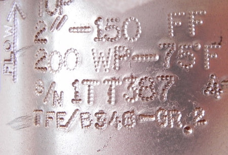 Hy-Grade PTFE Teflon Check Valve P02-GTT-F4 2" For Corrosive Application - Advance Operations