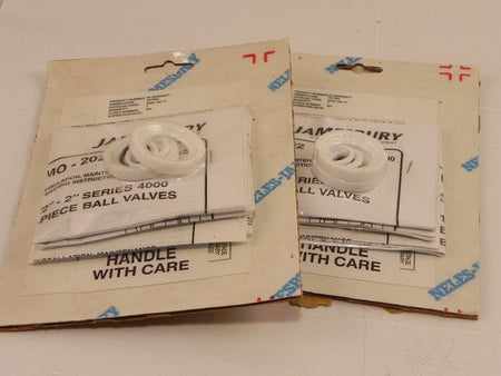 Jamesbury Valve Kit RKN109TT (Lot of 2) - Advance Operations