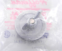 Load image into Gallery viewer, Hoffman Hole Seal A-SPBG (10 pcs) - Advance Operations
