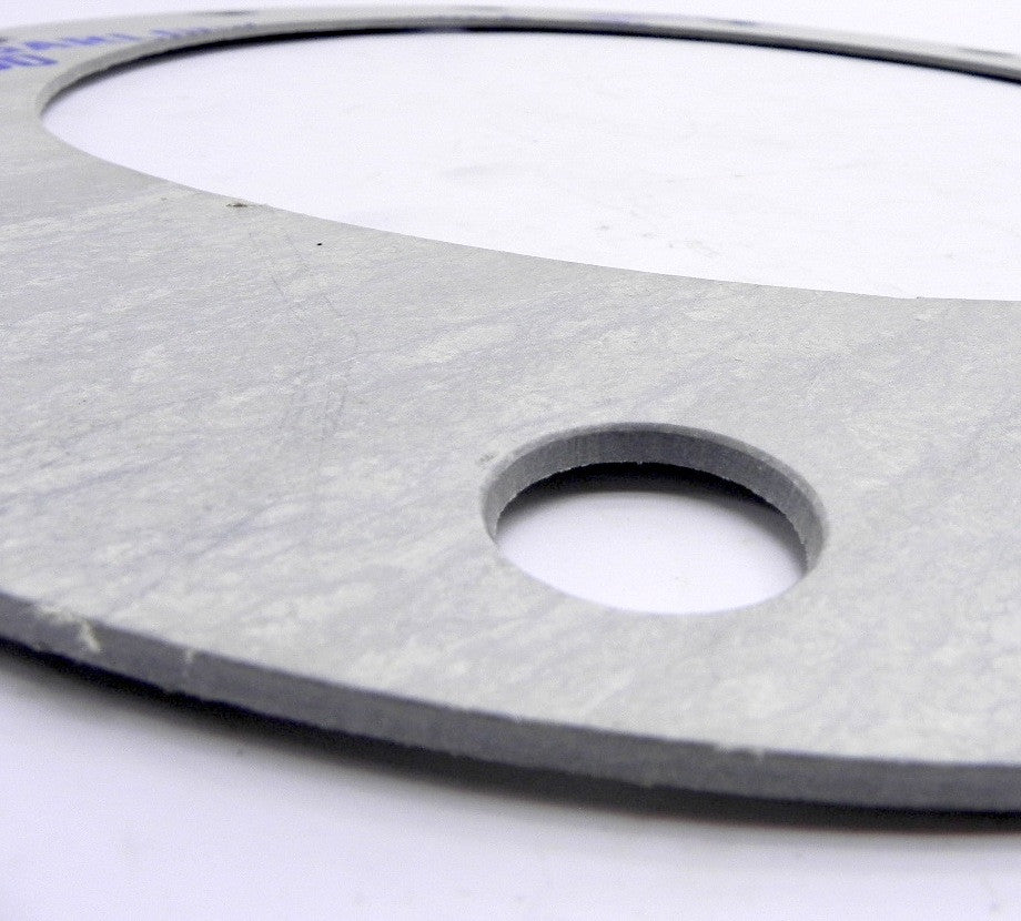 Garlock Gasket Blue Guard 3700 (5) - Advance Operations
