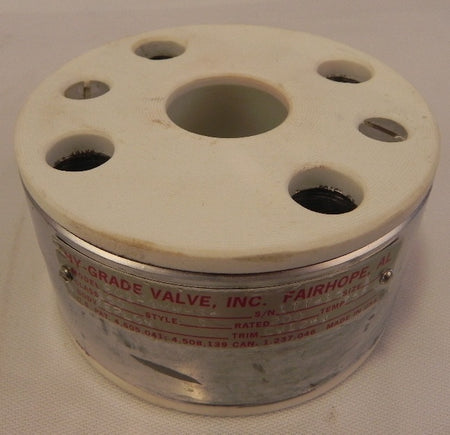 Hy-Grade PTFE Teflon Check Valve 1" P01-GHH-G4 For Corrosive Application - Advance Operations