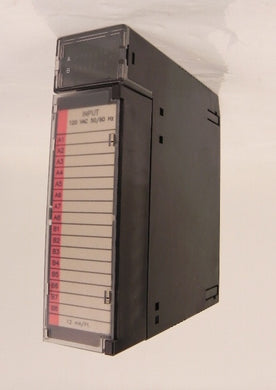 GE Fanuc Input Module IC693MDL240C - Advance Operations