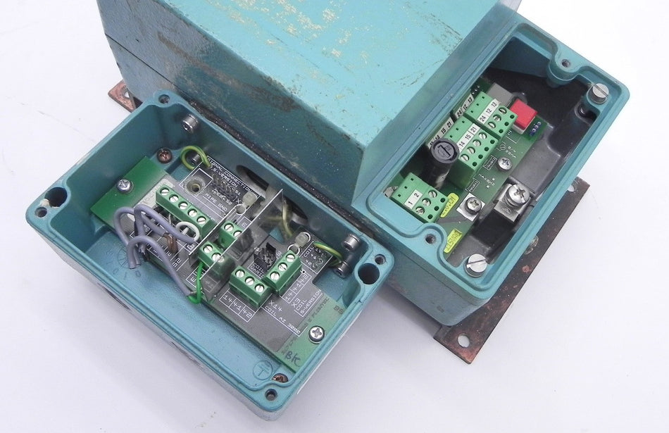 Endress+Hauser  Variomag Picomag Flowmeter DMI 6530 - Advance Operations