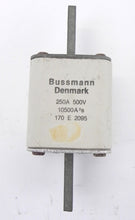 Load image into Gallery viewer, Bussman High Speed Fuse 170E2095 250A 500V - Advance Operations

