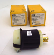 Load image into Gallery viewer, Hubbell HBL2311 Twist Lock Male Plug 20A 125V 2 Pole (2) - Advance Operations
