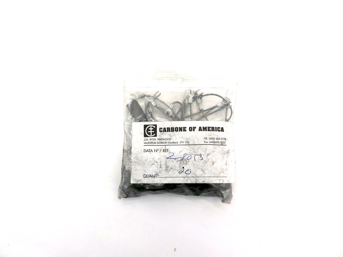 Carbone Of America Z8053 Carbon Brushes Lot Of 10 - Advance Operations
