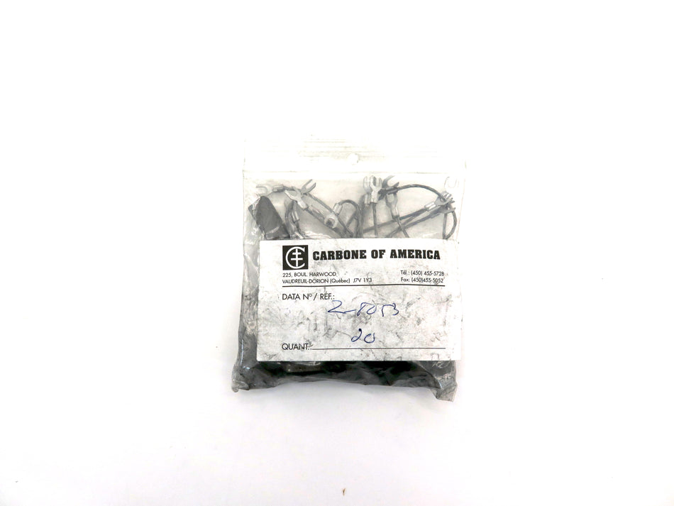 Carbone Of America Z8053 Carbon Brushes Lot Of 10 - Advance Operations