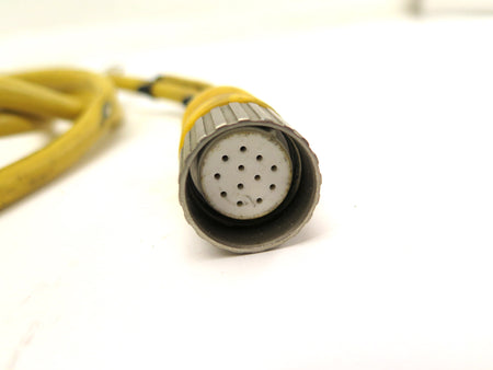 Allen-Bradley 889M-F12X9AE-10 Cable 12Pin Patchcord 6FT - Advance Operations