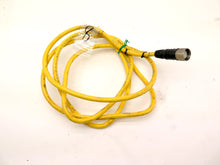 Load image into Gallery viewer, Turk CKCM 12-11-10 Cable 12PIN Patchcord 8FT - Advance Operations
