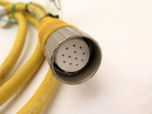 Load image into Gallery viewer, Turk CKCM 12-11-10 Cable 12PIN Patchcord 8FT - Advance Operations
