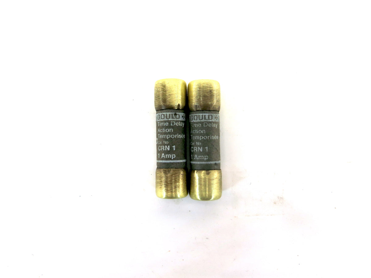Cefco CRN 1 Type D Time Delay Fuse 1 amps 250V lot of 2 - Advance Operations
