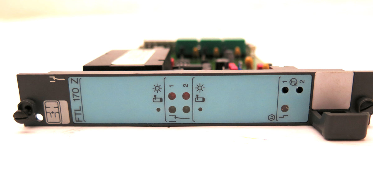 Endress + Hauser FTL 170 Z Nivotester Limit Switch - Advance Operations