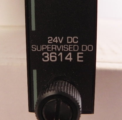 Triconex Module Supervised DO Assy 3614E 1 year warranty - Advance Operations
