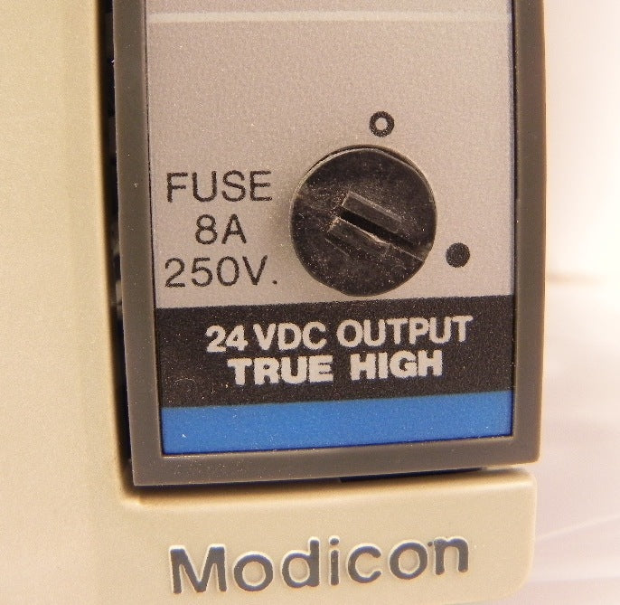 Modicon Output Module True High AS-B824-016 - Advance Operations