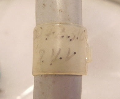Triconex Cable Assembly 4000042-310 - Advance Operations